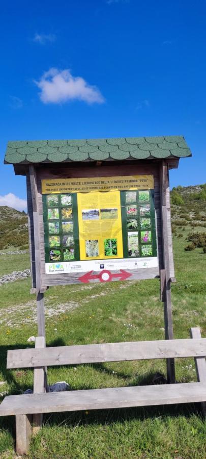 Weekend House In The Piva Nature Park Vikendica