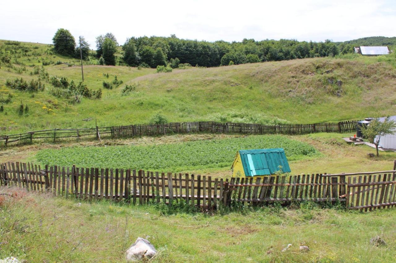 Weekend House In The Piva Nature Park Vikendica