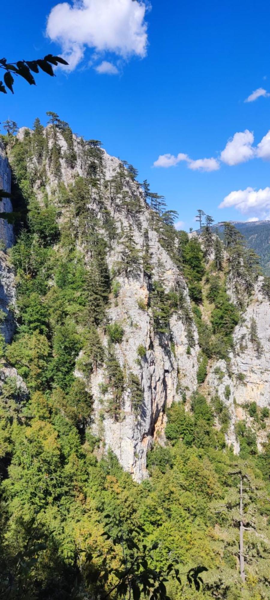 Weekend House In The Piva Nature Park Vikendica Pluzine