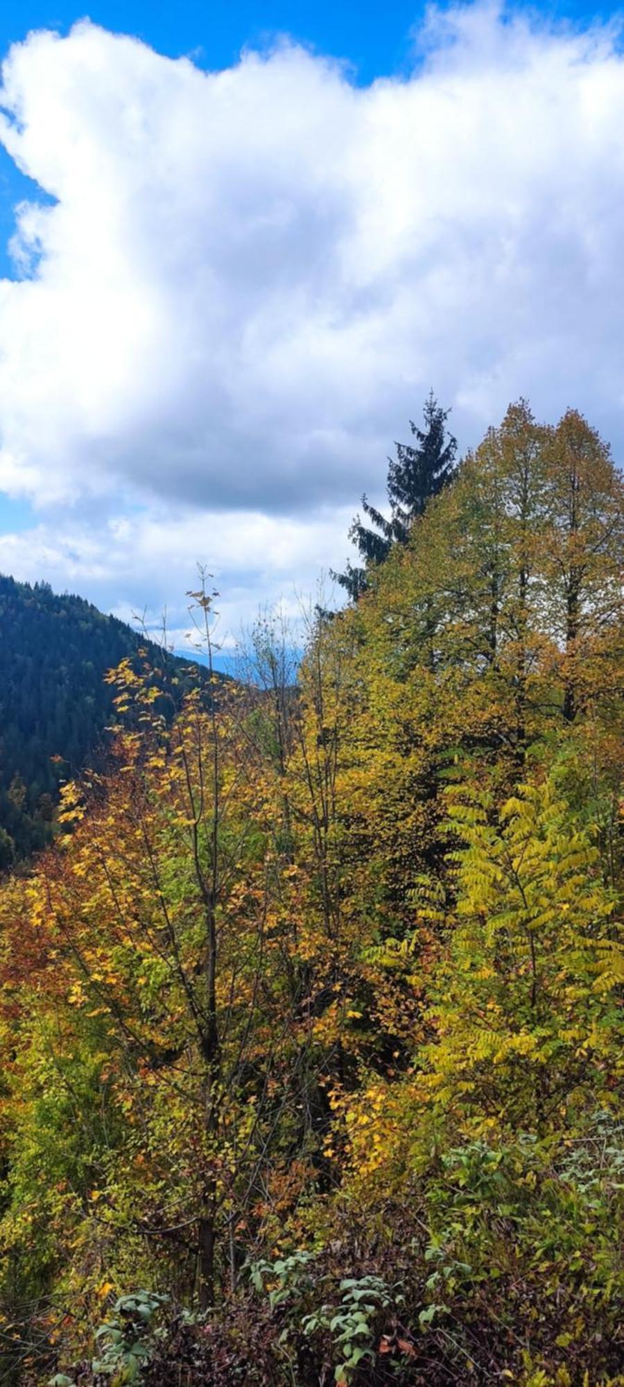 Weekend House In The Piva Nature Park Holiday home *
